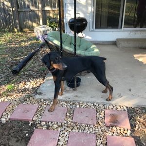 Meet your Posher, Michael